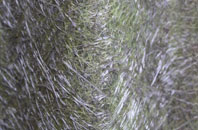 Hunters Quay fibreglass roof work